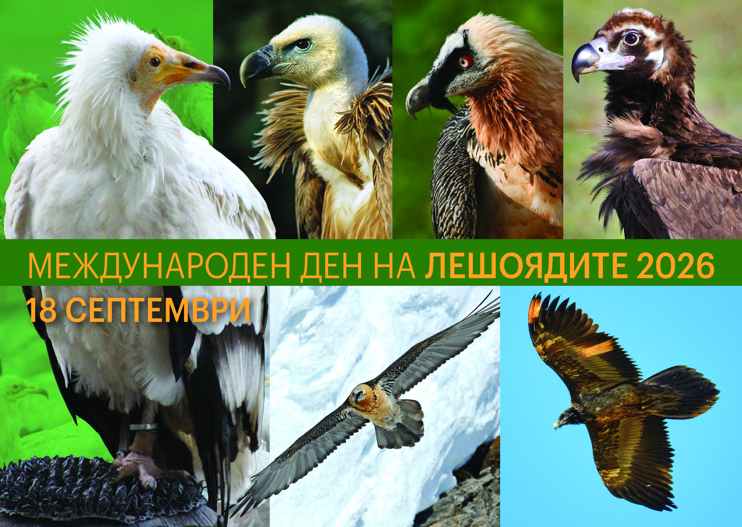 Русе Медиа - За да знаеш повече Русе Медиа - За да знаеш повече