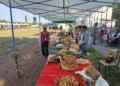 Русе Медиа - За да знаеш повече