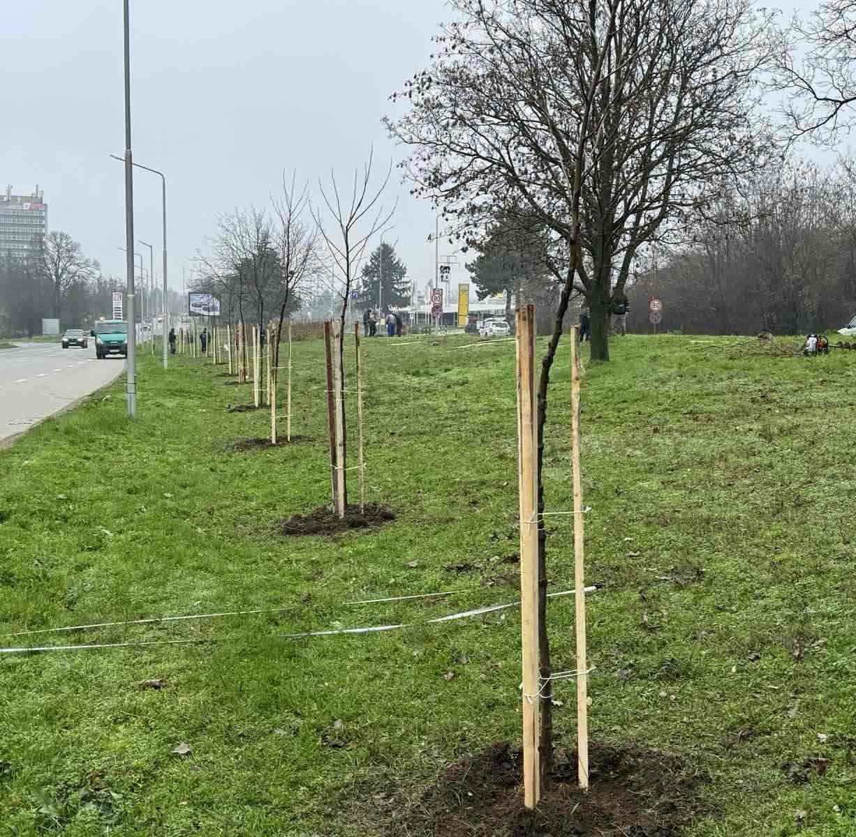 Русе Медиа - За да знаеш повече Русе Медиа - За да знаеш повече