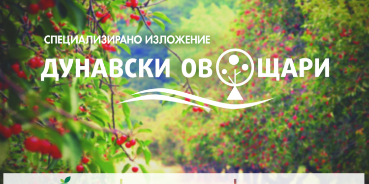Русе Медиа - За да знаеш повече