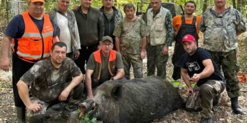 Русе Медиа - За да знаеш повече Ловци от Семерджиево отстреляха трофеен глиган с тегло 257 кг